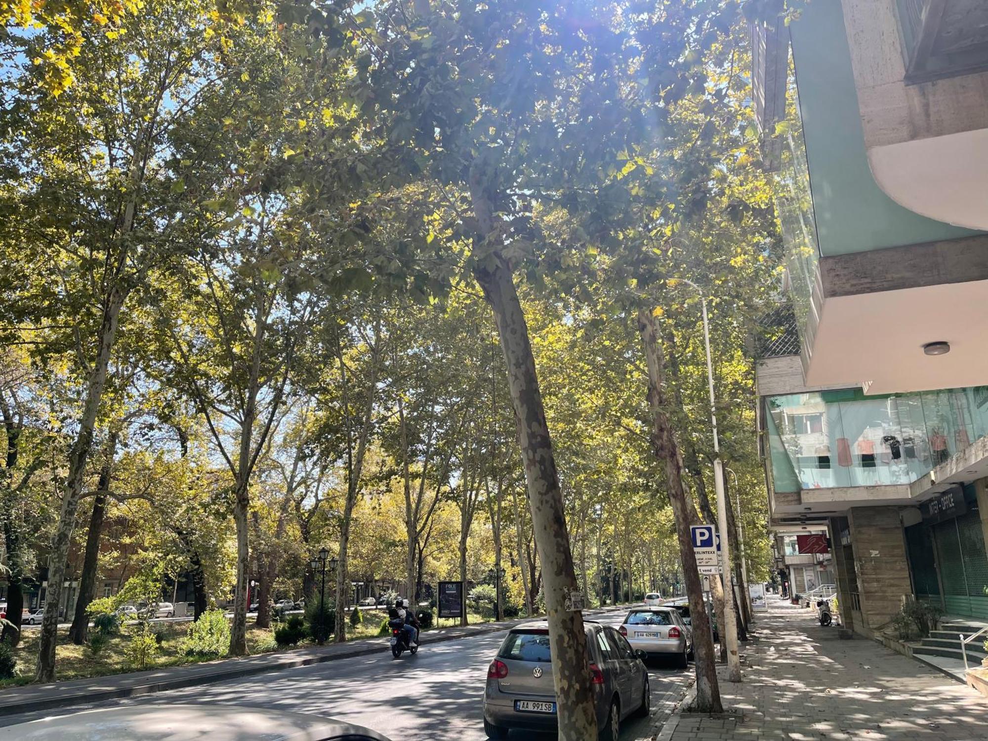 My Tirana2 Daire Dış mekan fotoğraf
